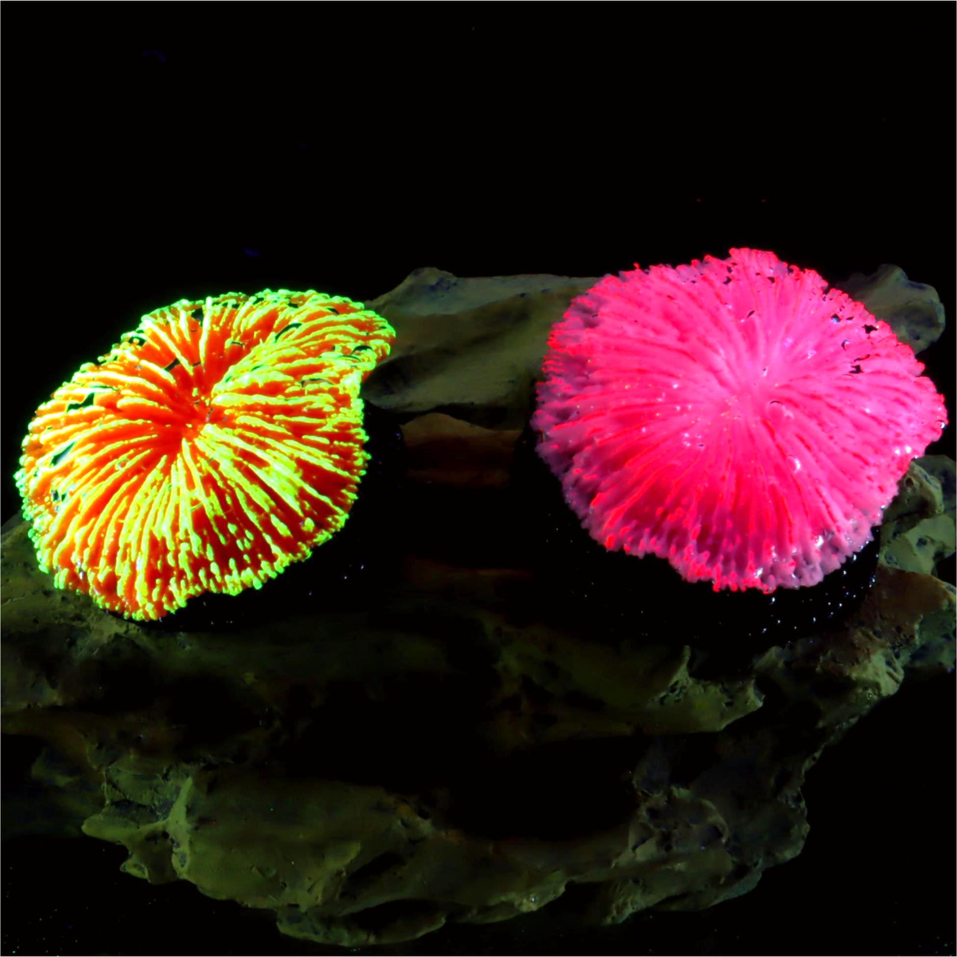 Aquarium Moss - 1 ชิ้น ของตกแต่งตู้ปลา ปะการังเล็กเรืองแสง สำหรับจัดแต่งตู้ปลา