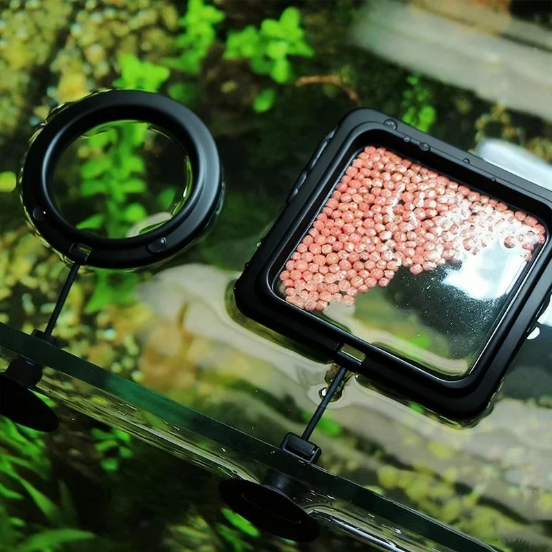 Aquarium Fertilizer - 1/3 ชิ้น วงแหวนให้อาหารปลาในตู้ปลา ถาดอาหารลอยน้ำรูปหัวใจ ทรงสี่เหลี่ยม/ทรงกลม พร้อมถ้วย