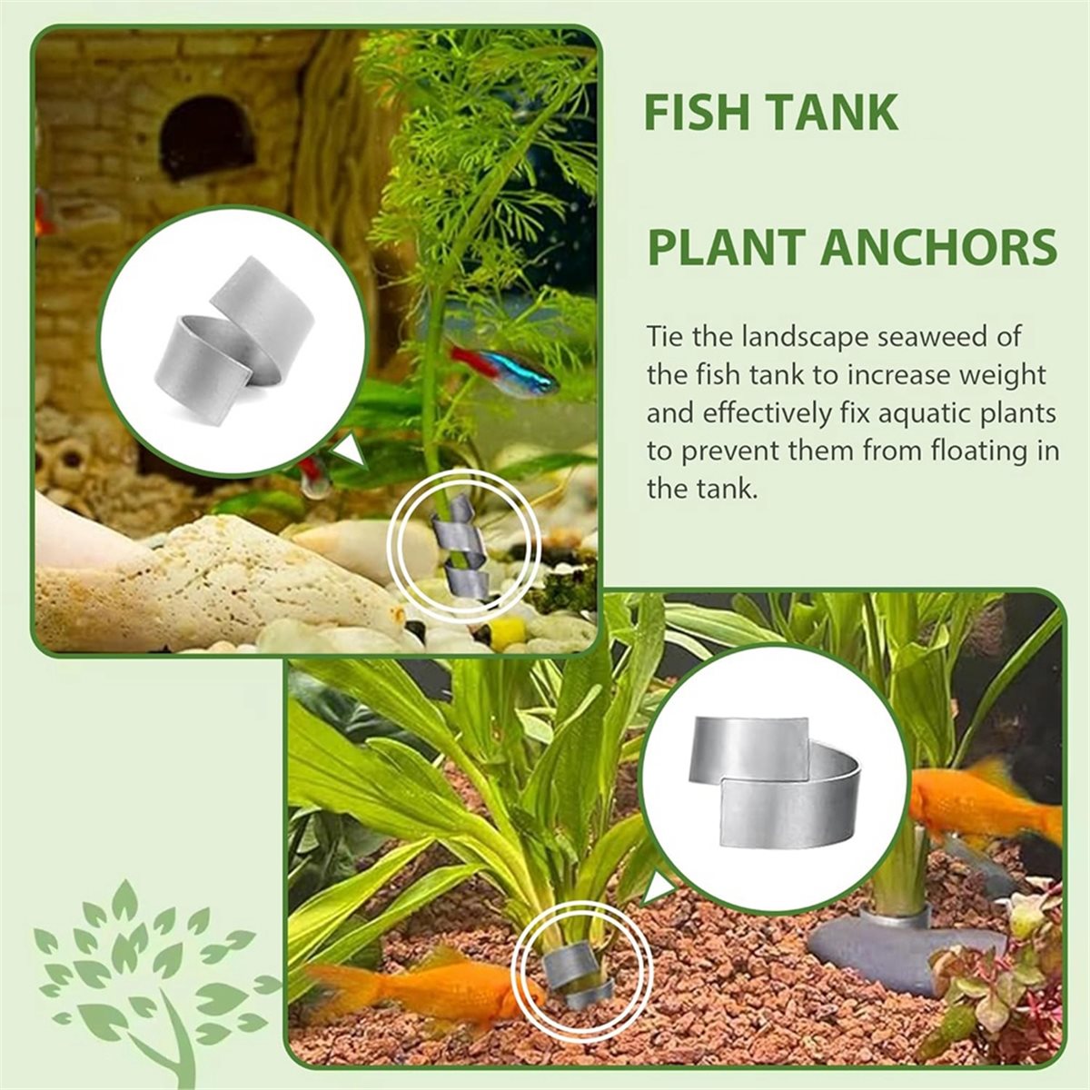 Live Plant Aquarium - ตัวหน่วงน้ำหนักต้นไม้ในตู้ปลา ช่วยประหยัดเวลา ใช้สำหรับยึดต้นไม้ในตู้ปลา ฐานวงแหวนยึดต้นไม้ สำหรับยึดต้นไม้น้ำ