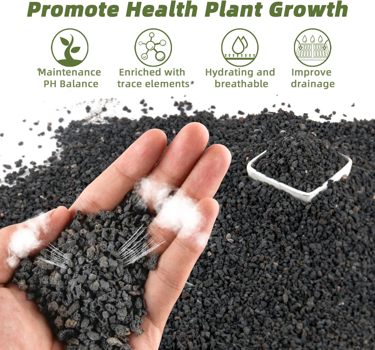 Plant Aquarium Pot - วัสดุกรองสำหรับตู้ปลาสีดำ ขนาด 3 ปอนด์, หินตกแต่งตู้ปลา ขนาด