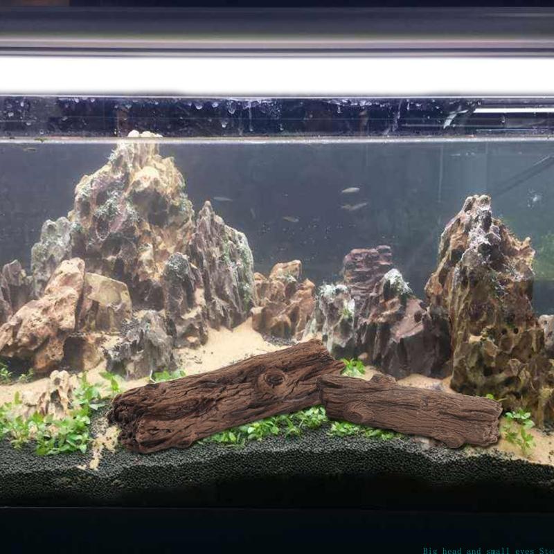 พิพิธภัณฑ์สัตว์น้ําตกแต่งต้นไม - Aquarium Moss บทวิจารณ์และราคา