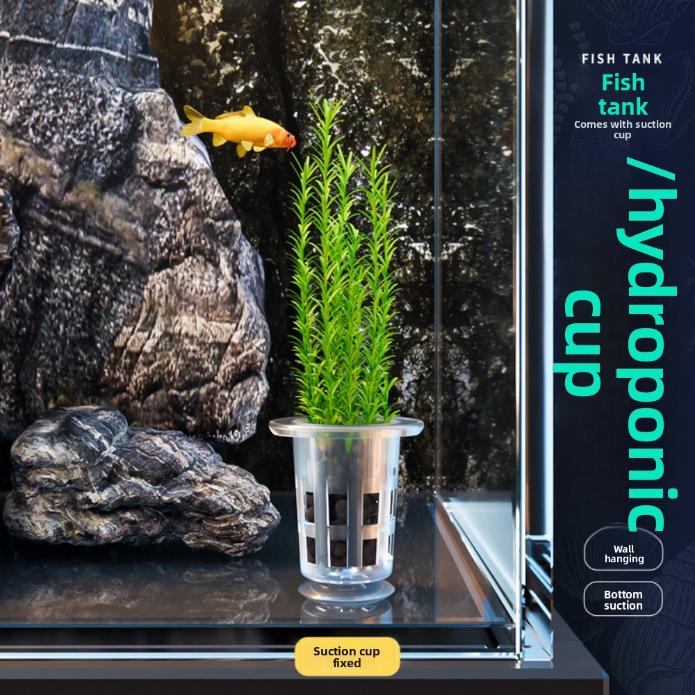 กระถางปลูกพืชแบบไฮโดรโปนิกส์ใส - Aquarium Plants Live บทวิจารณ์และราคา