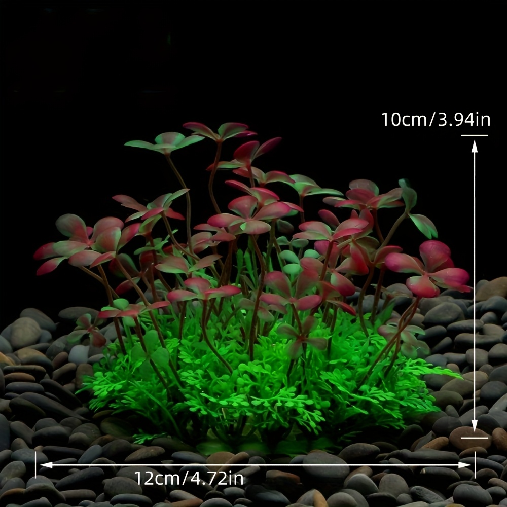 ตกแต่งตู้ปลา ต้นไม้พลาสติกประด - Aquarium Plants Live บทวิจารณ์และราคา