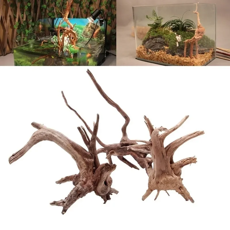ต้นไม้ธรรมชาติลำต้นไม้ดริฟท์วู - Aquarium Plant Substrate บทวิจารณ์และราคา