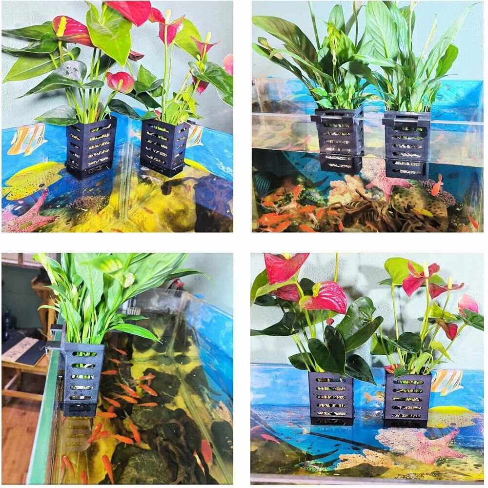 พิพิธภัณฑ์สัตว์น้ํา Fish TANK  - Aquarium Plant Holder บทวิจารณ์และราคา