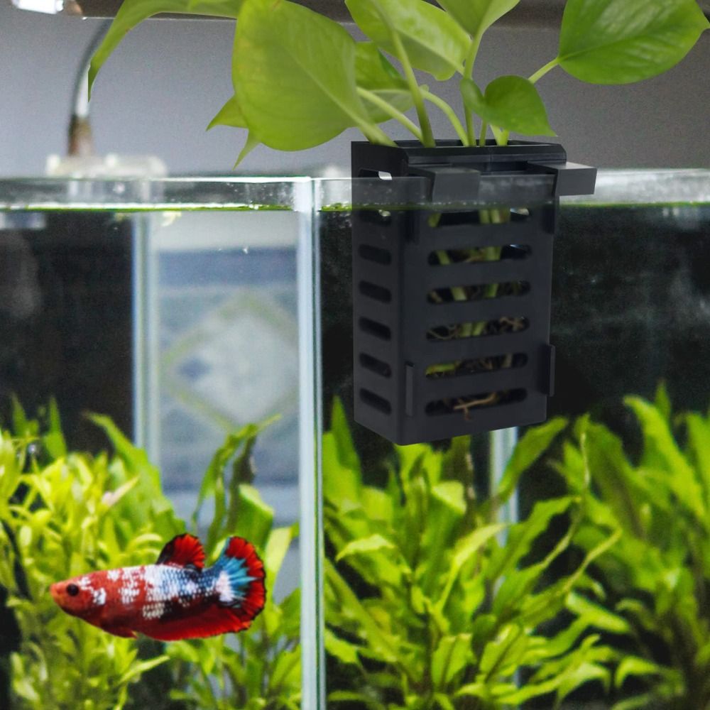 พิพิธภัณฑ์สัตว์น้ํา Fish TANK  - Aquarium Plant Holder บทวิจารณ์และราคา