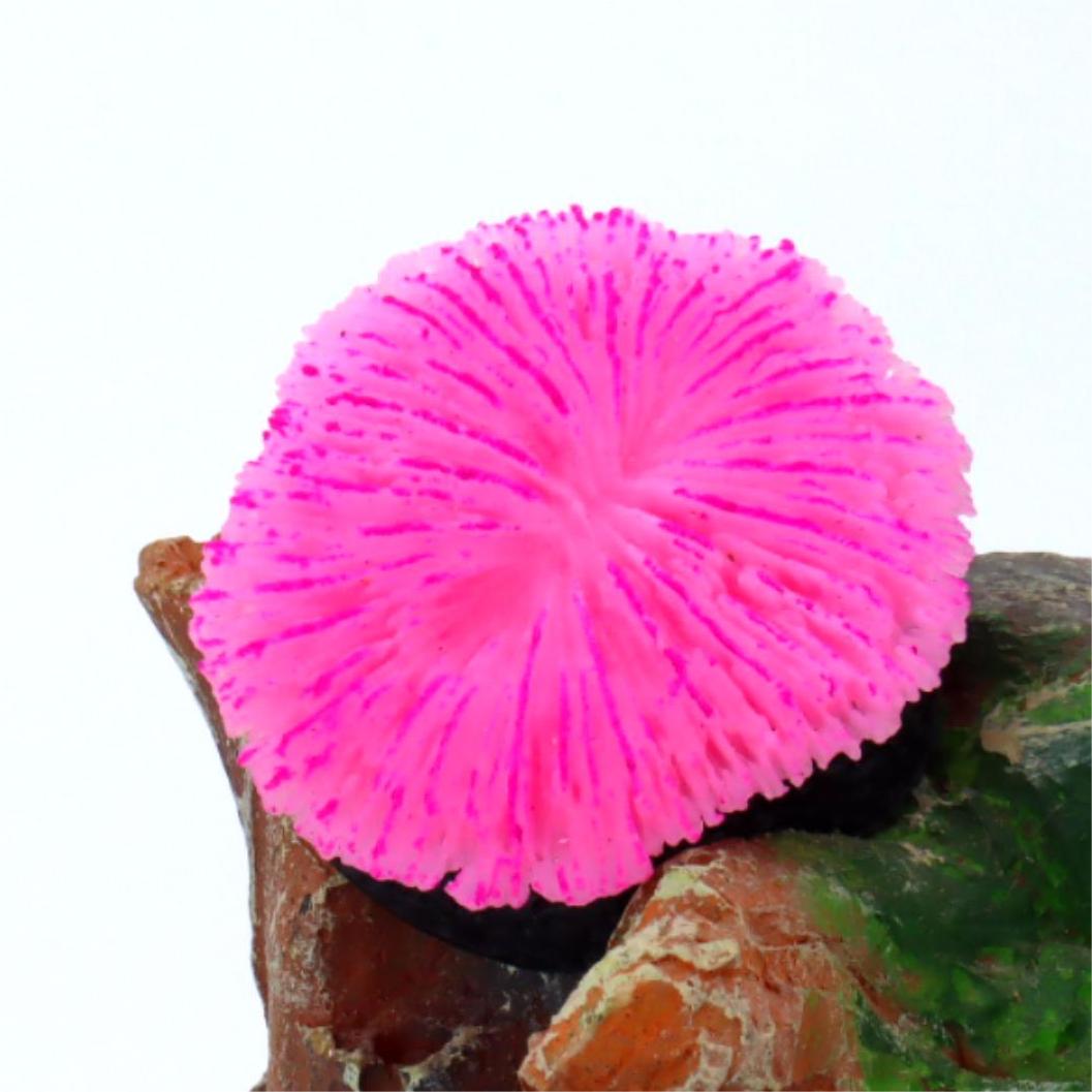 1 ชิ้น ของตกแต่งตู้ปลา ปะการัง - Aquarium Moss บทวิจารณ์และราคา