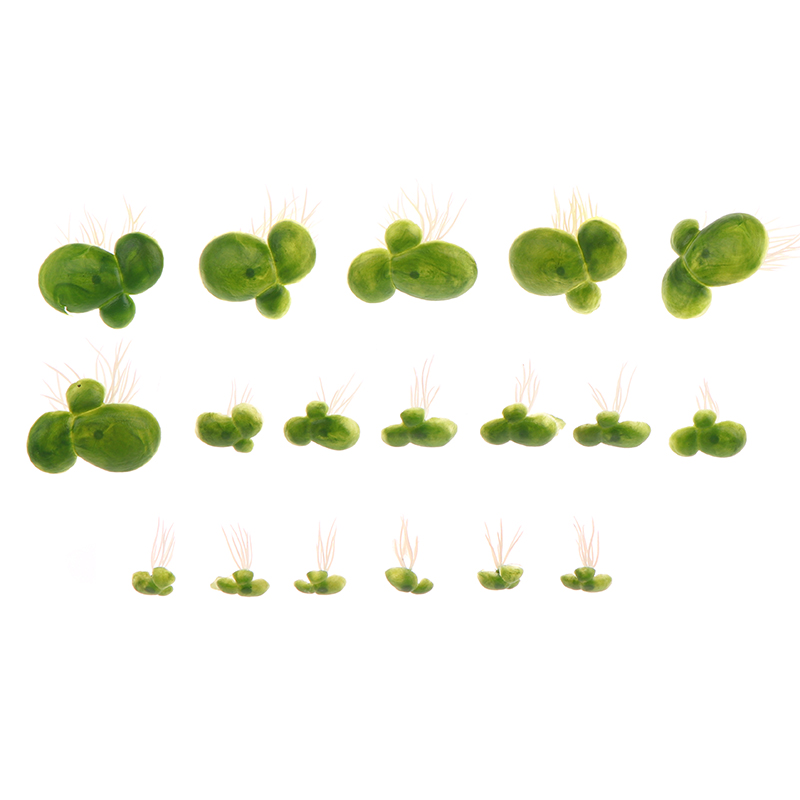 อุปกรณ์ตกแต่งตู้ปลาขนาด18ชิ้น/ - Aquarium Plants Live บทวิจารณ์และราคา