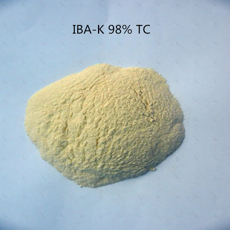 10Gram-1KG 98% IBA-K น้ํา IBA  - Aquarium Fertilizer บทวิจารณ์และราคา