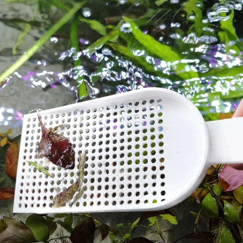 ตะแกรงตักเศษขยะในตู้ปลา ตาข่าย - Planted Aquarium Cleaning บทวิจารณ์และราคา