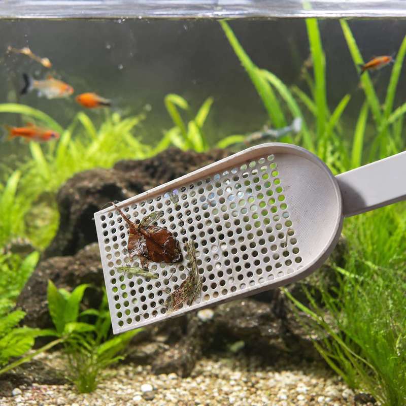 ตะแกรงตักเศษขยะในตู้ปลา ตาข่าย - Planted Aquarium Cleaning บทวิจารณ์และราคา