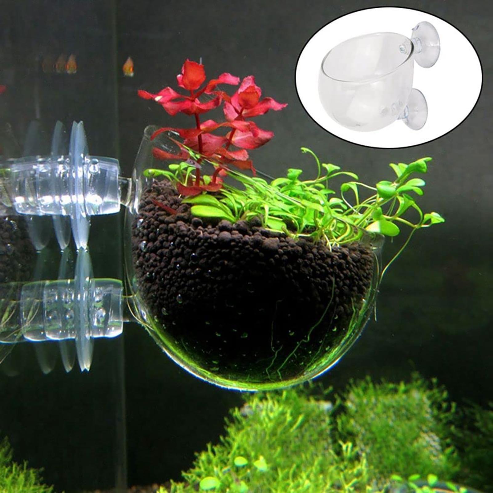 กระถางต้นไม้ตกแต่งตู้ปลา อะคริ - Plant Aquarium Pot บทวิจารณ์และราคา