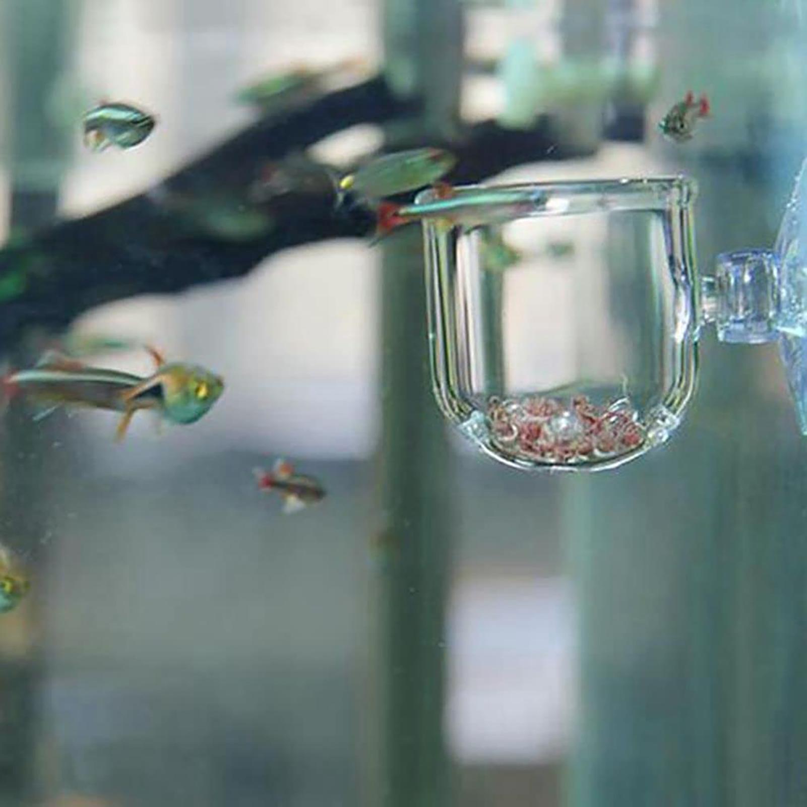 กระถางต้นไม้ตกแต่งตู้ปลา อะคริ - Plant Aquarium Pot บทวิจารณ์และราคา