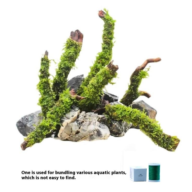 เส้นใยมอสย่อยสลายได้ตามธรรมชาต - Aquarium Moss บทวิจารณ์และราคา