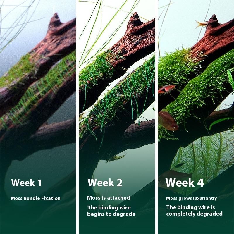เส้นใยมอสย่อยสลายได้ตามธรรมชาต - Aquarium Moss บทวิจารณ์และราคา