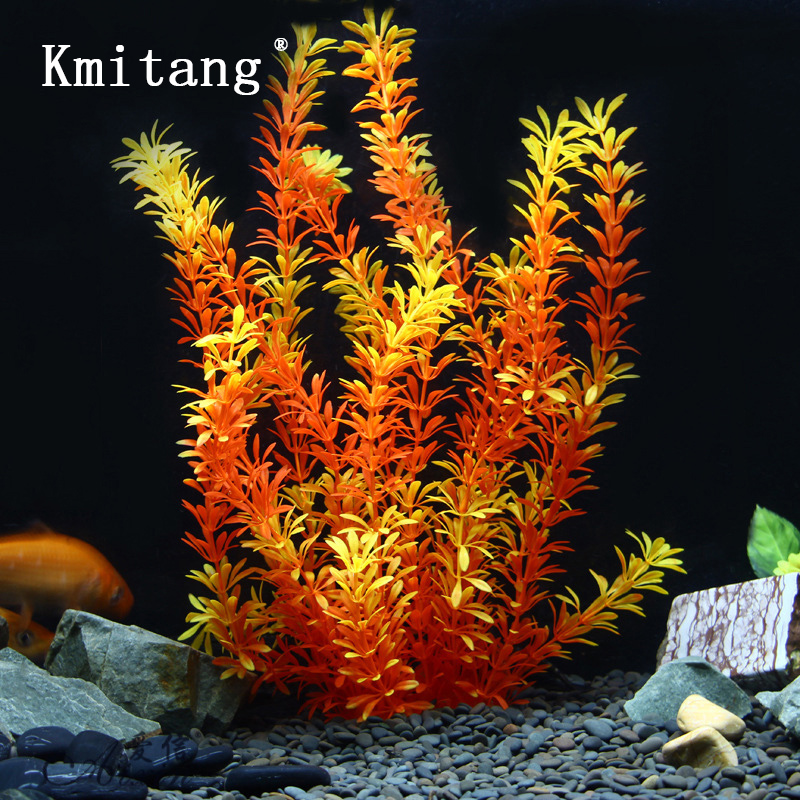 ต้นไม้เขตร้อนขนาด 100 ซม. หญ้า - Aquarium Moss บทวิจารณ์และราคา