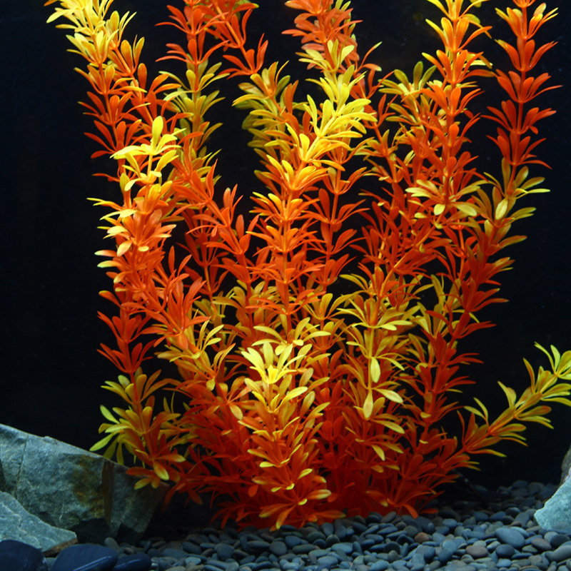 ต้นไม้เขตร้อนขนาด 100 ซม. หญ้า - Aquarium Moss บทวิจารณ์และราคา