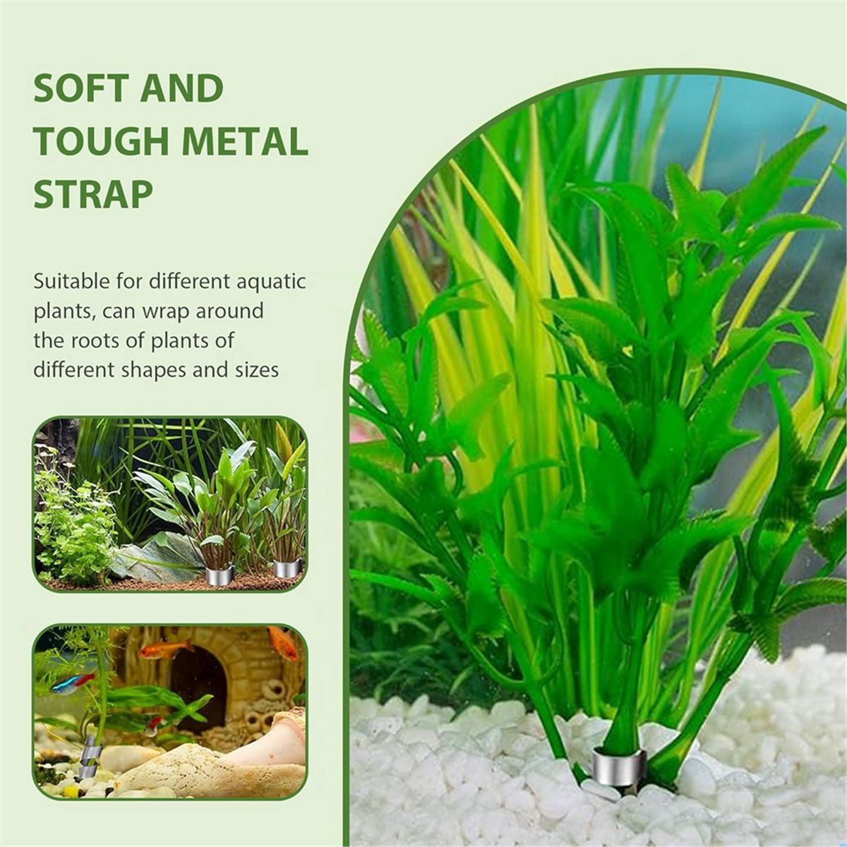 ตัวหน่วงน้ำหนักต้นไม้ในตู้ปลา  - Live Plant Aquarium บทวิจารณ์และราคา