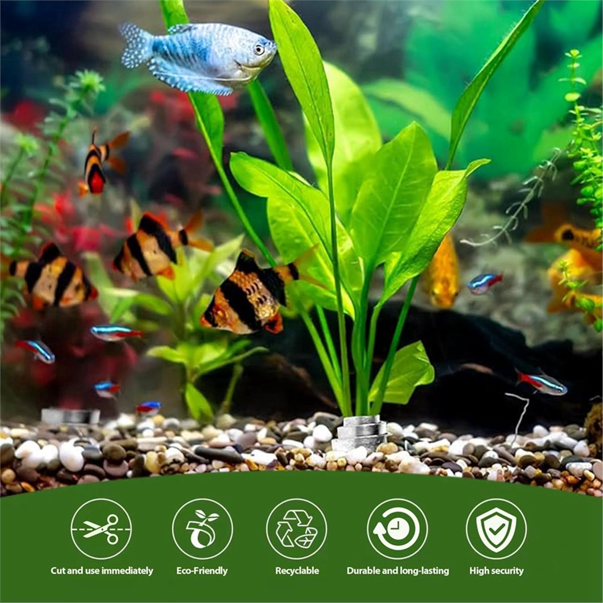 ตัวหน่วงน้ำหนักต้นไม้ในตู้ปลา  - Live Plant Aquarium บทวิจารณ์และราคา