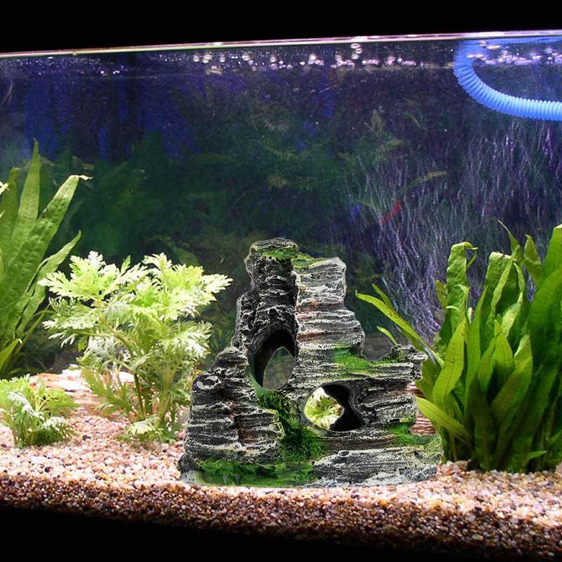 พิพิธภัณฑ์สัตว์น้ําหินทรายตกแต - Aquarium Moss บทวิจารณ์และราคา