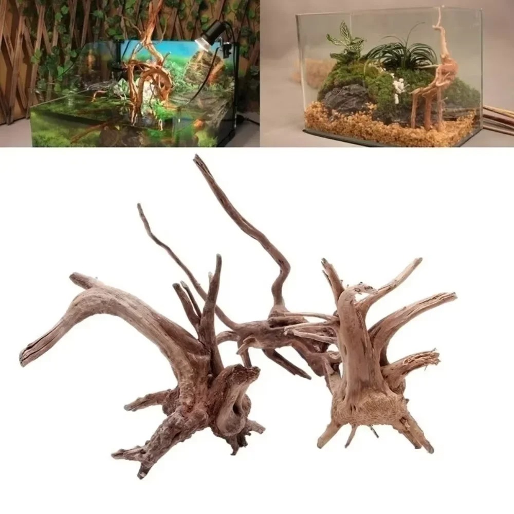 ไม้ลอยน้ำธรรมชาติขนาด 15-20 ซม - Aquarium Plant Substrate บทวิจารณ์และราคา