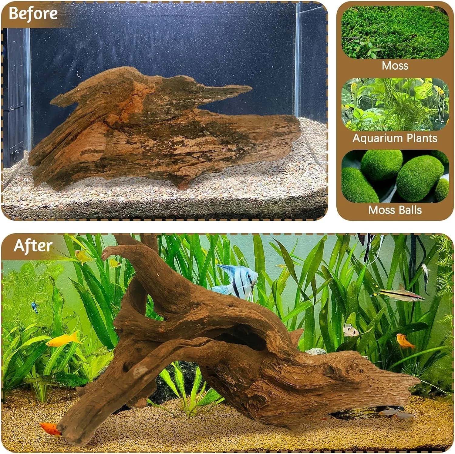 15-20 ซม. 1 ชิ้น ไม้ลอยน้ำธรรม - Aquarium Moss บทวิจารณ์และราคา
