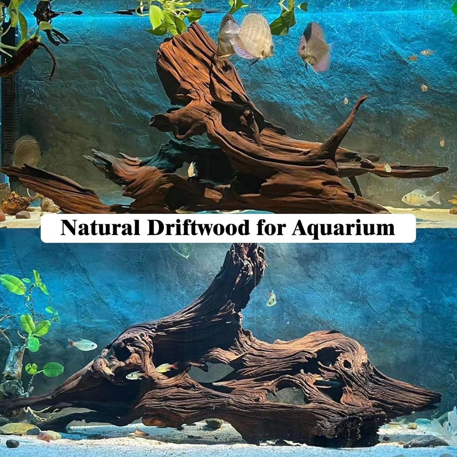 15-20 ซม. 1 ชิ้น ไม้ลอยน้ำธรรม - Aquarium Moss บทวิจารณ์และราคา