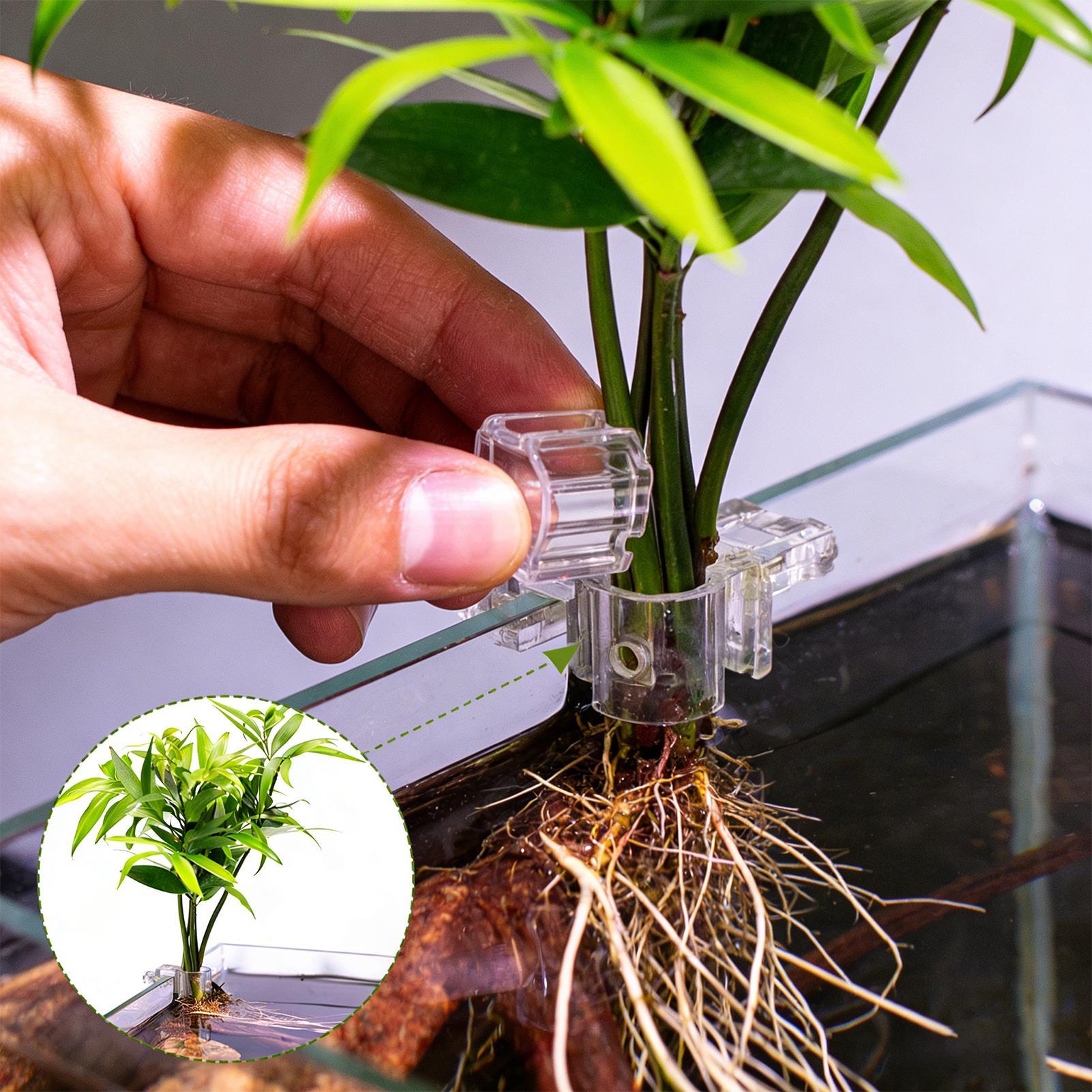 กระถางปลูกต้นไม้ขนาดเล็กสำหรับ - Aquarium Fertilizer บทวิจารณ์และราคา