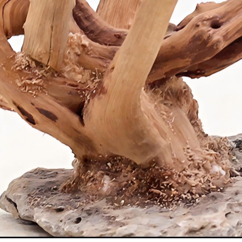 1PC Aquarium ภูมิทัศน์เครื่องป - Aquarium Driftwood บทวิจารณ์และราคา