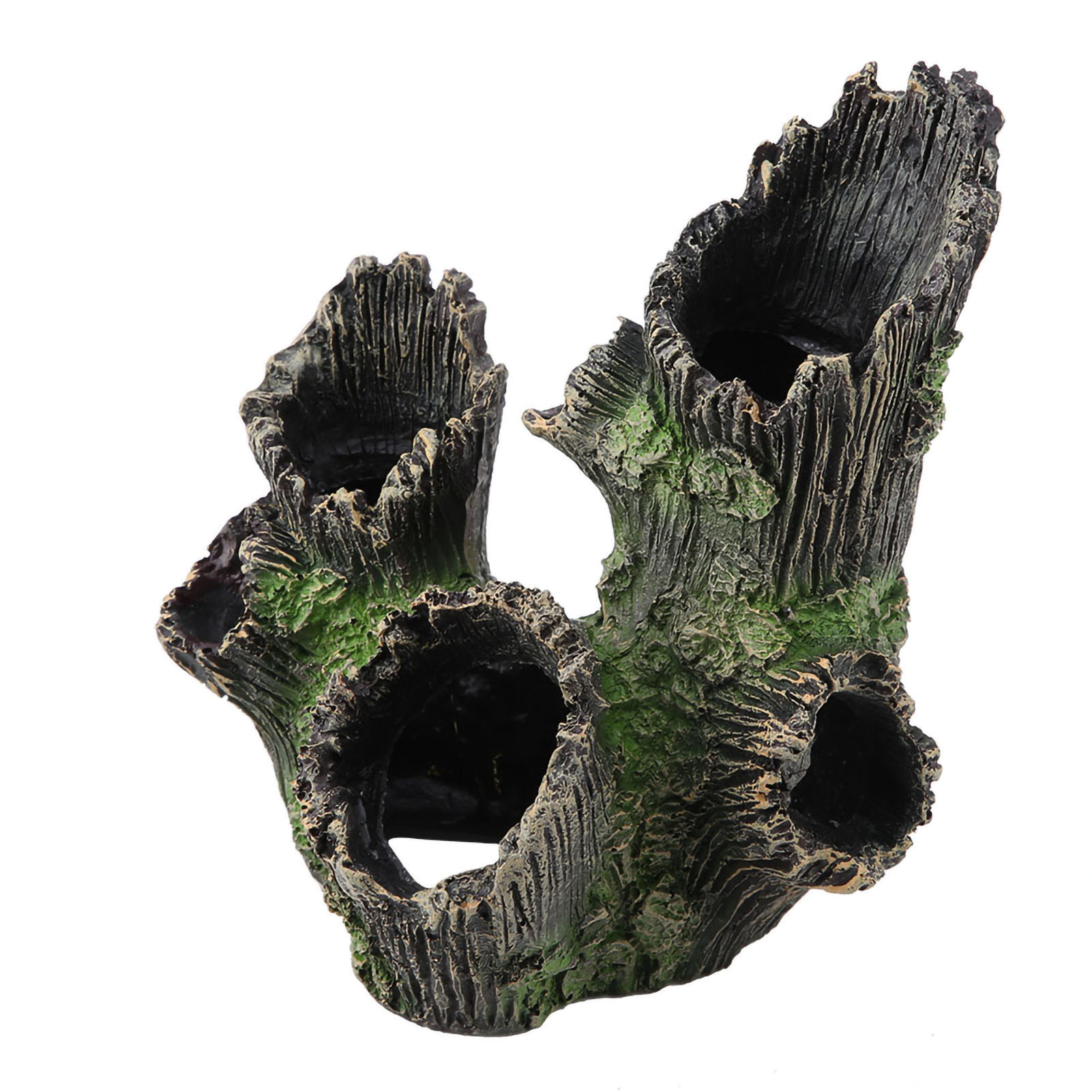 พิพิธภัณฑ์สัตว์น้ํา Driftwood  - Aquarium Driftwood บทวิจารณ์และราคา