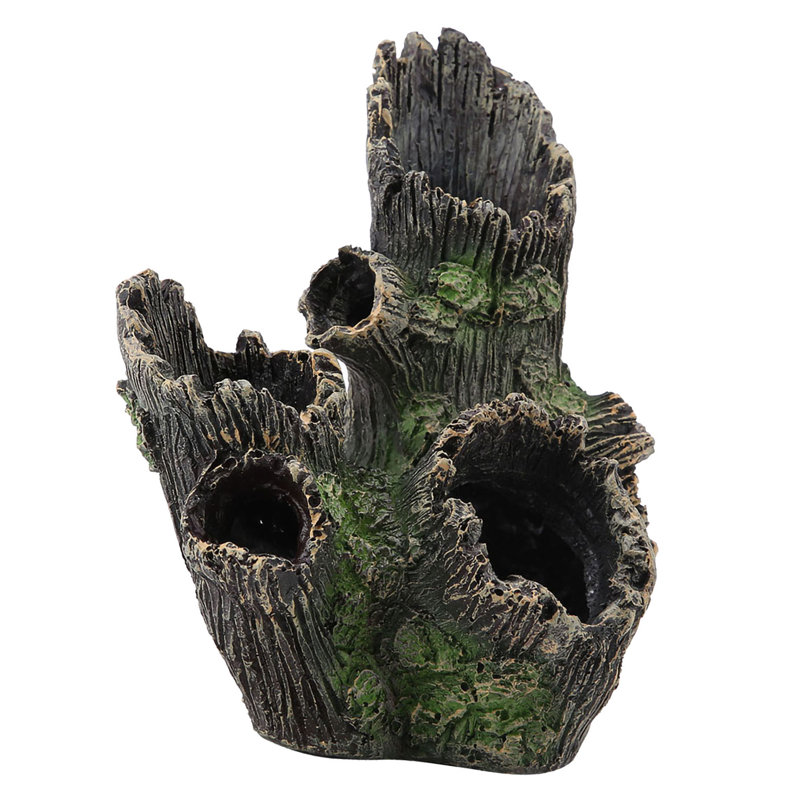 พิพิธภัณฑ์สัตว์น้ํา Driftwood  - Aquarium Driftwood บทวิจารณ์และราคา