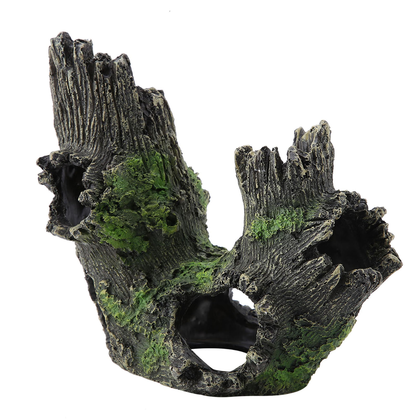 พิพิธภัณฑ์สัตว์น้ํา Driftwood  - Aquarium Driftwood บทวิจารณ์และราคา