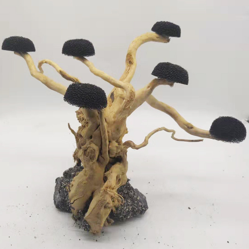 พิพิธภัณฑ์สัตว์น้ํา Driftwood  - Aquarium Moss บทวิจารณ์และราคา