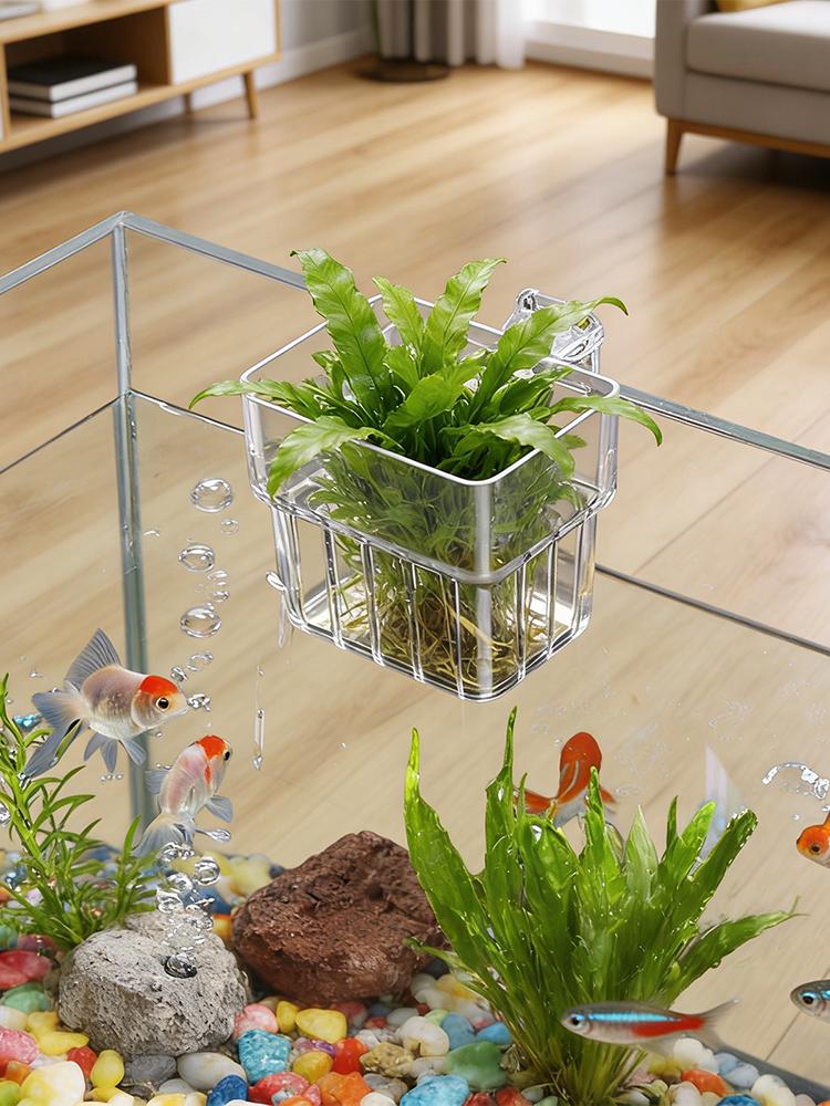 ที่วางต้นไม้ในตู้ปลาแบบใส ของต - Plant Aquarium Pot บทวิจารณ์และราคา