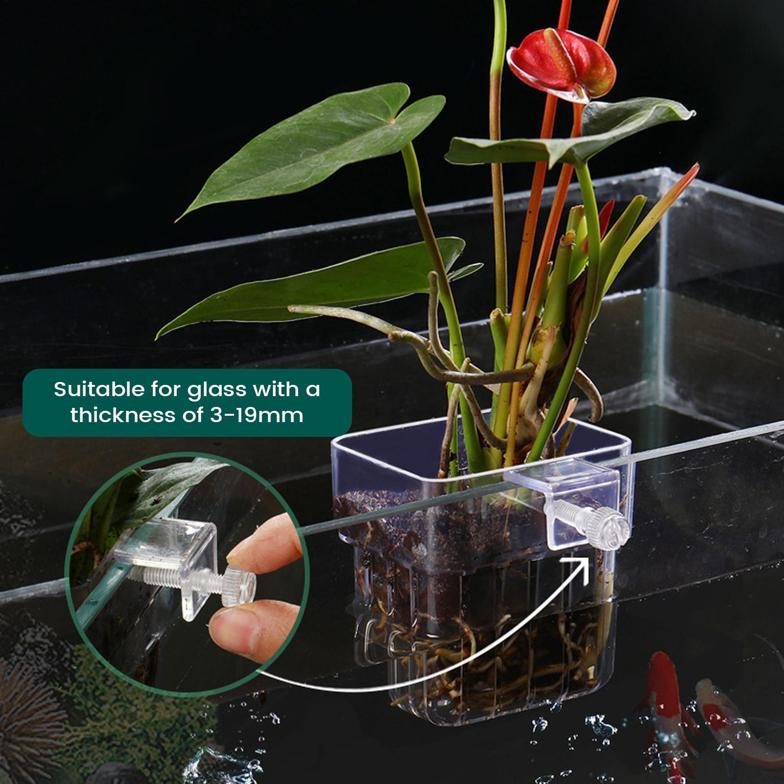 ที่วางต้นไม้ในตู้ปลาแบบใส ของต - Plant Aquarium Pot บทวิจารณ์และราคา
