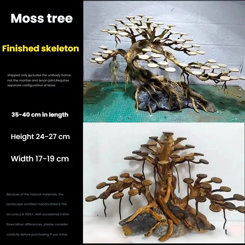 ต้นไม้ประดับตู้ปลา ตกแต่งด้วยม - Aquarium Moss บทวิจารณ์และราคา