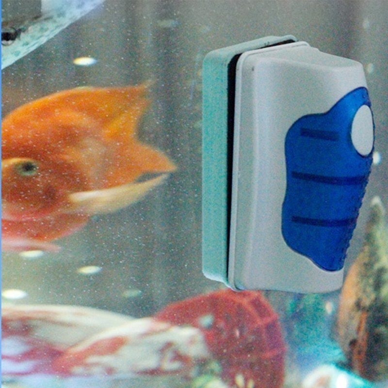 ที่ขูดทำความสะอาดกระจกตู้ปลา ท - Planted Aquarium Cleaning บทวิจารณ์และราคา