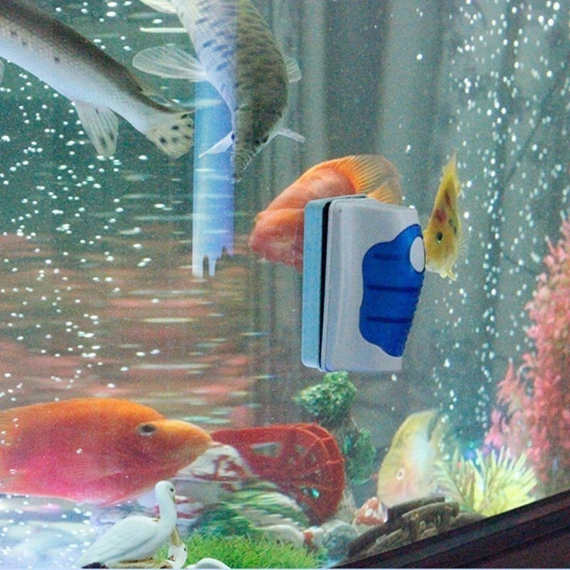 ที่ขูดทำความสะอาดกระจกตู้ปลา ท - Planted Aquarium Cleaning บทวิจารณ์และราคา