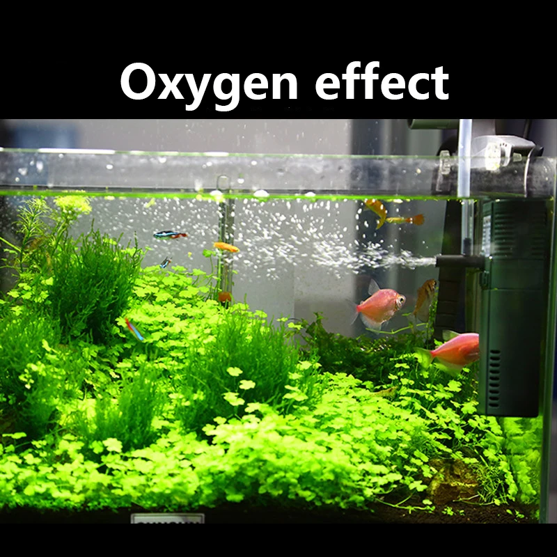 ปั๊มออกซิเจนแบบจุ่ม SUNSUN Min - Aquarium Planted Tank Filter บทวิจารณ์และราคา