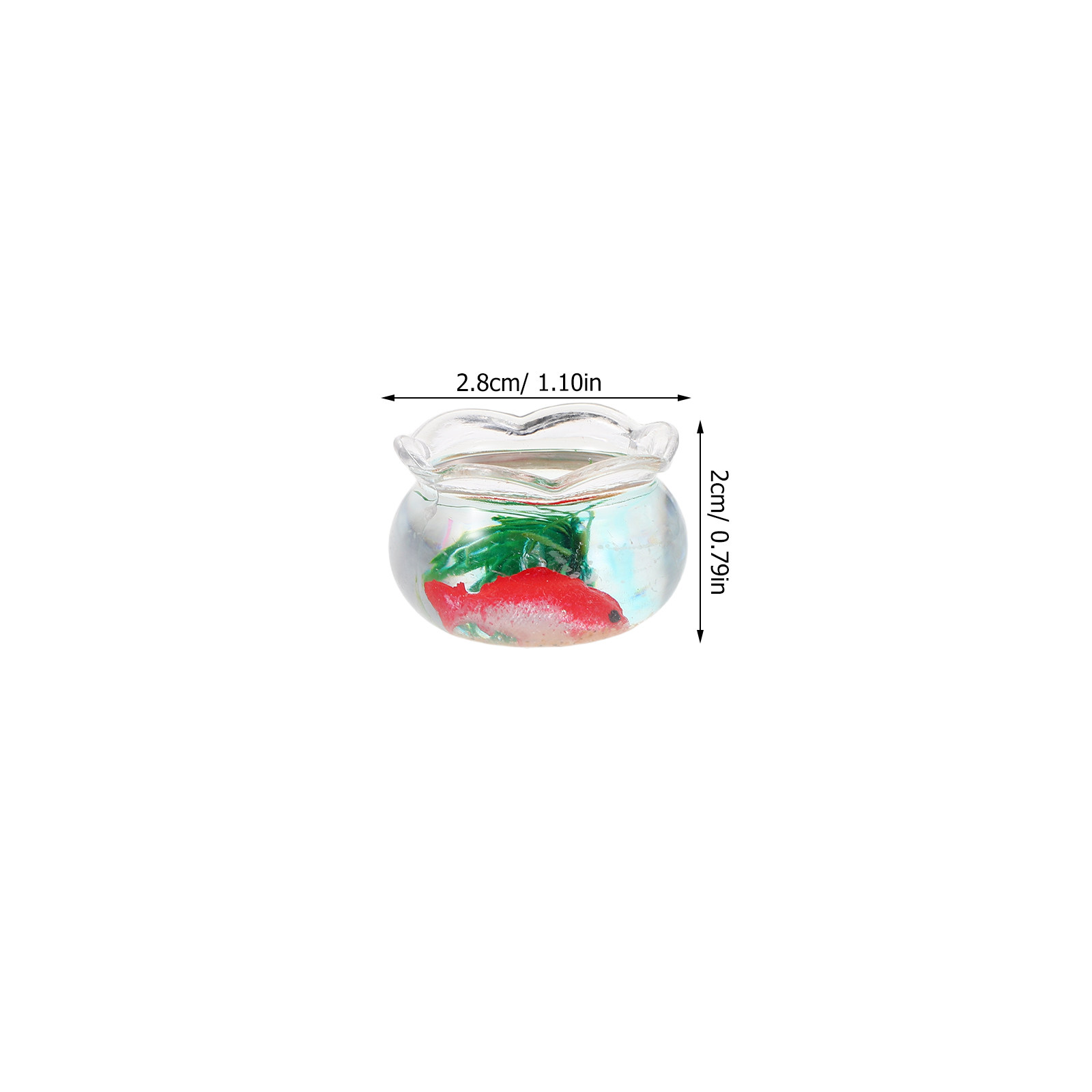 ชุดตู้ปลาคาร์ปจิ๋ว 5 ชิ้น – ตู - Planted Tank บทวิจารณ์และราคา