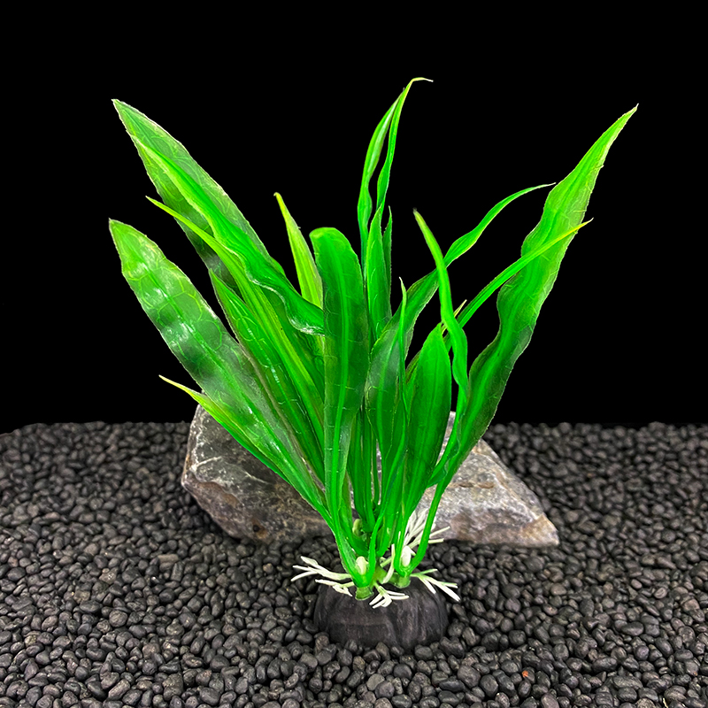 ชุดต้นไม้ประดับตู้ปลา 6 ชิ้น ข - Aquarium Moss บทวิจารณ์และราคา