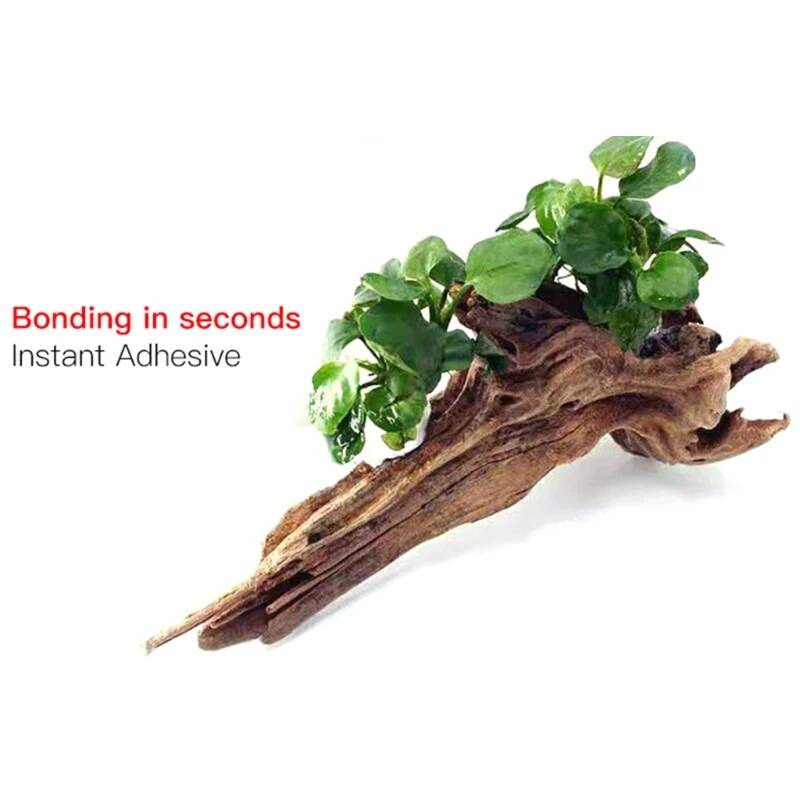 กาวมอส 1.8 ออนซ์/3.5 ออนซ์ แห้ - Aquarium Moss บทวิจารณ์และราคา